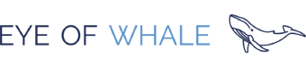 Eye Of Whale