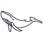 Eye of Whale | Consultoría empresarial