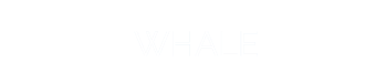 Eye of Whale | Consultoría empresarial