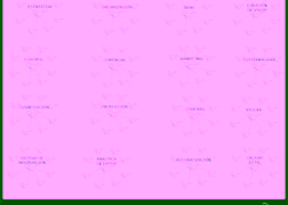 Eye Of Whale | Business management consulting