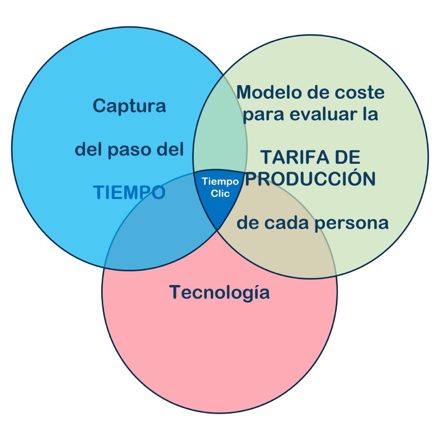 Eye of Whale | Consultoría empresarial