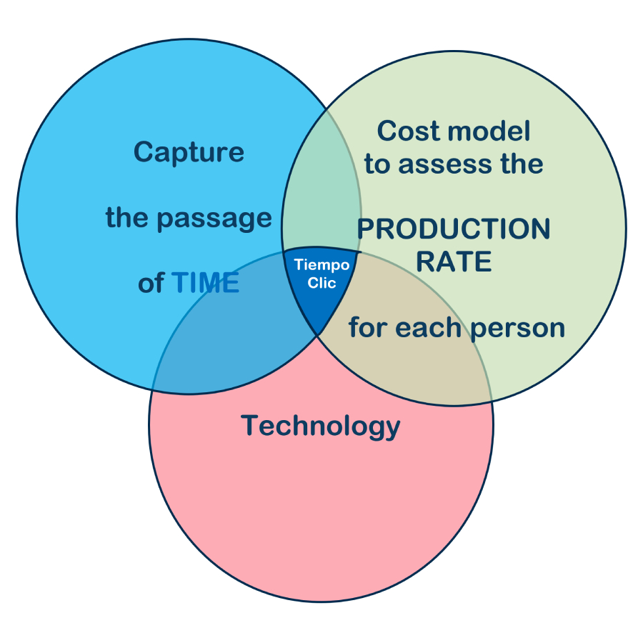 Eye Of Whale | Business management consulting