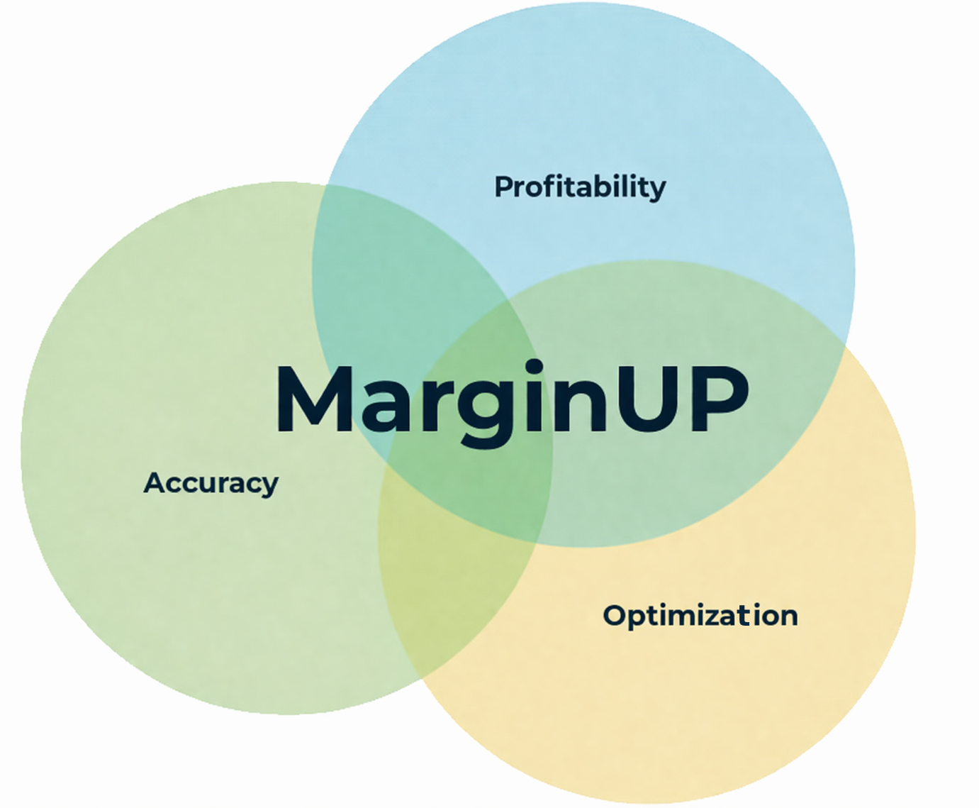 Eye Of Whale | Business management consulting